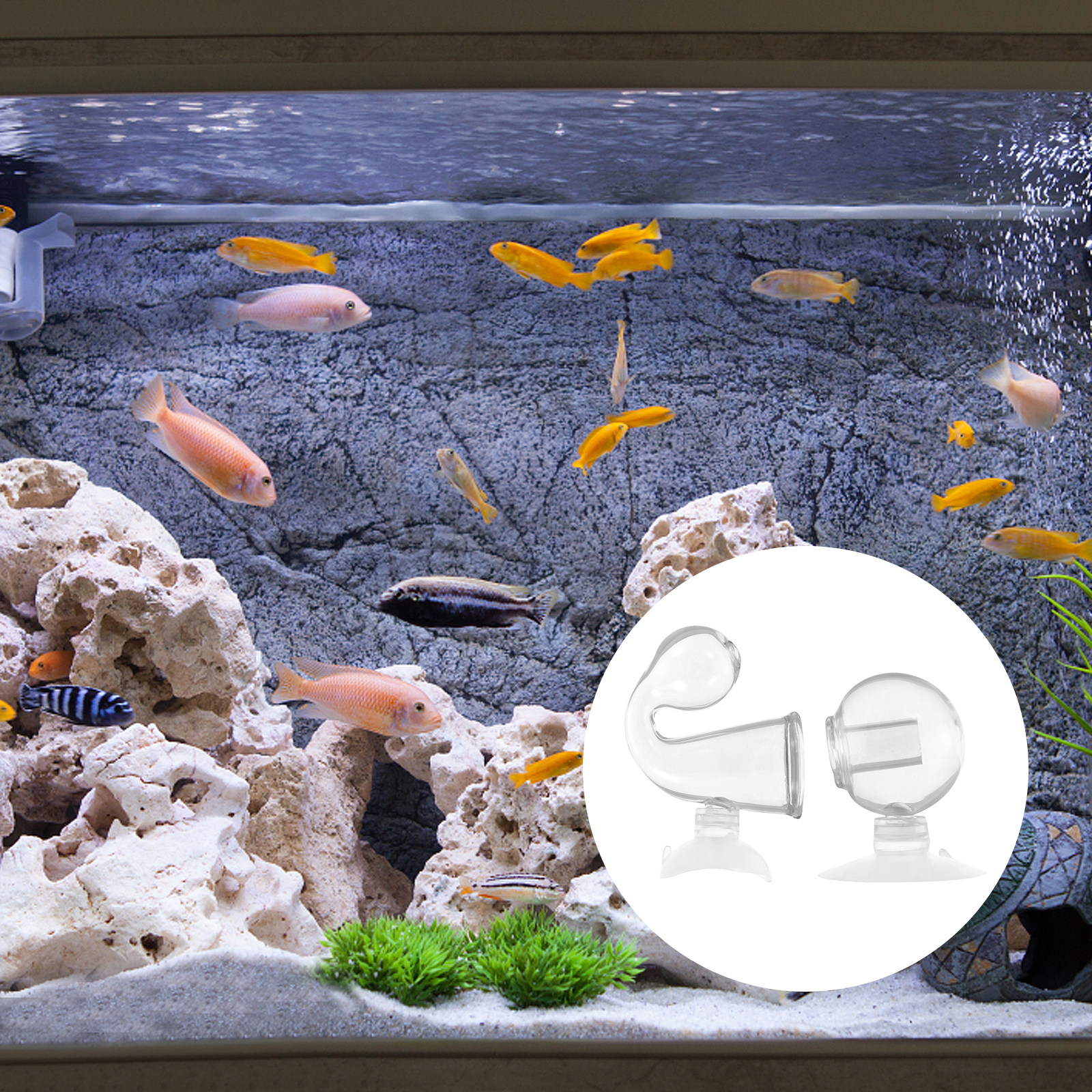 Glass Co2 Drop Checker - 2Pcs Co2 Drop Glass Checker Aquarium