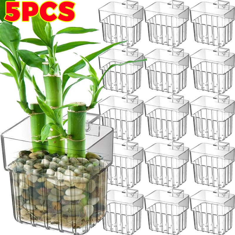 Aquarium Plants Book - 1/5pcs Aquarium Decoration Plant Cup Transparent