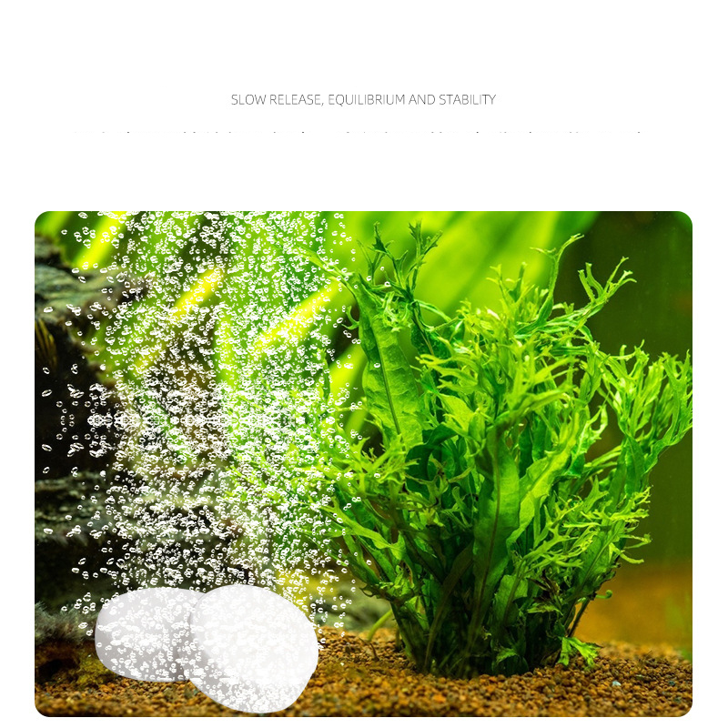 ISTA  Fish Tank Aquarium CO2 T – обзор и цена Planted Aquarium Without Fish