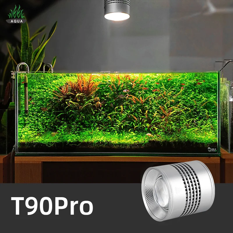 Week Aqua T Series T90 Pro Aqu – обзор и цена Aquarium Plant Not Growing