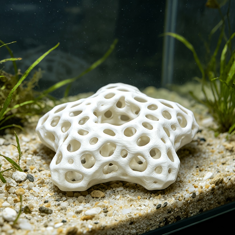 Hollowed-out Five-Pointed Star – обзор и цена Planted Aquarium Without Fish
