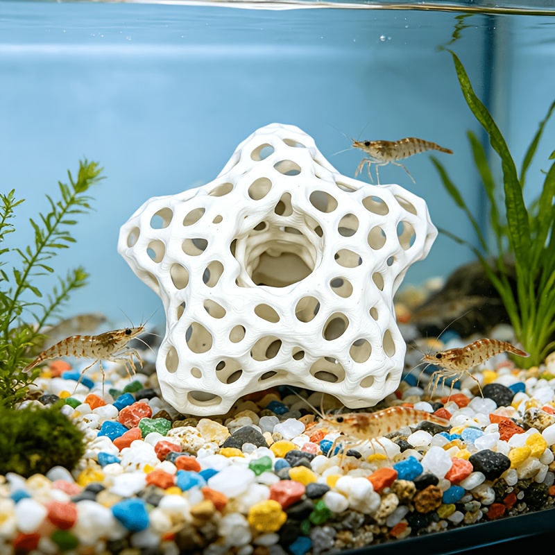 Hollowed-out Five-Pointed Star – обзор и цена Planted Aquarium Without Fish