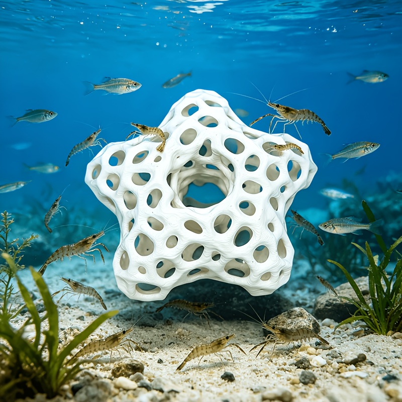 Hollowed-out Five-Pointed Star – обзор и цена Planted Aquarium Without Fish
