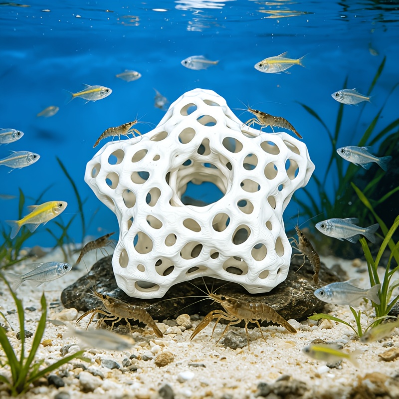 Hollowed-out Five-Pointed Star – обзор и цена Planted Aquarium Without Fish
