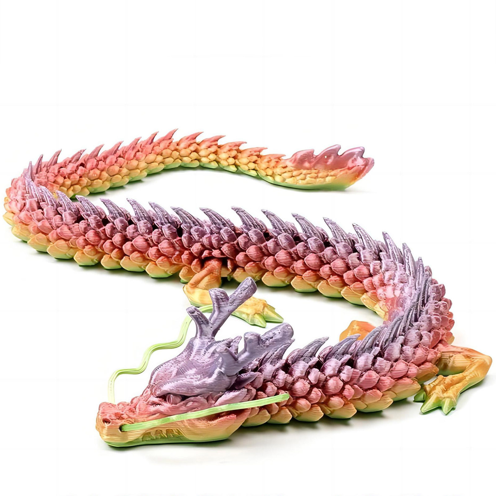 3D Printed Conjoined Dragon Or – обзор и цена Aquarium Plants Book