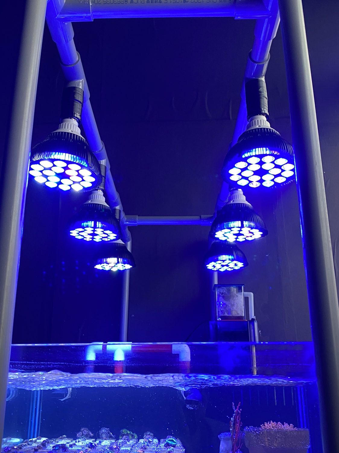 Full Spectrum LED Aquarium Ree – обзор и цена Aquarium Plant Ornament