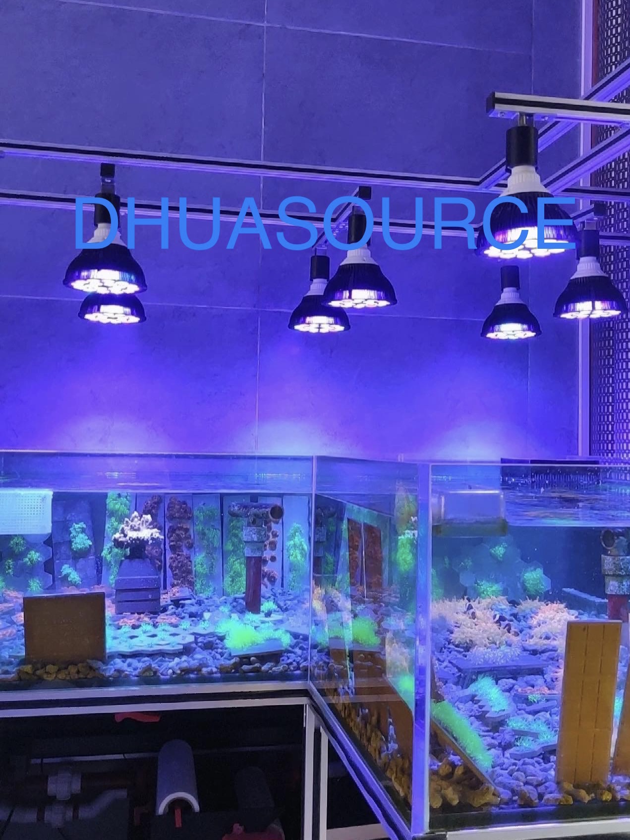 Full Spectrum LED Aquarium Ree – обзор и цена Aquarium Plant Ornament