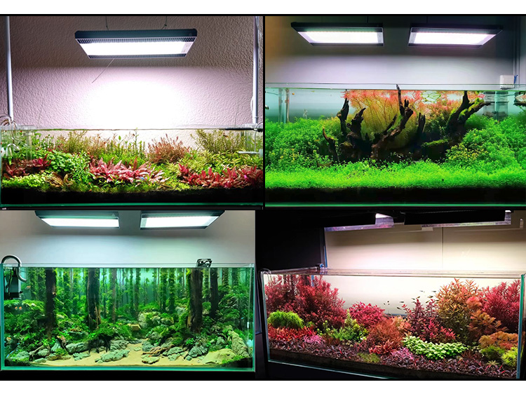 WEEK AQUA A430Pro LED Aquarium – обзор и цена Aquarium Plant Ornament