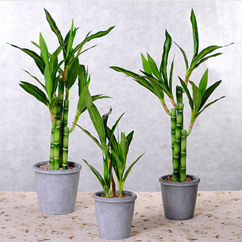 New 40cm rFtificial Lucky Bamb – обзор и цена Aquarium Plants Book