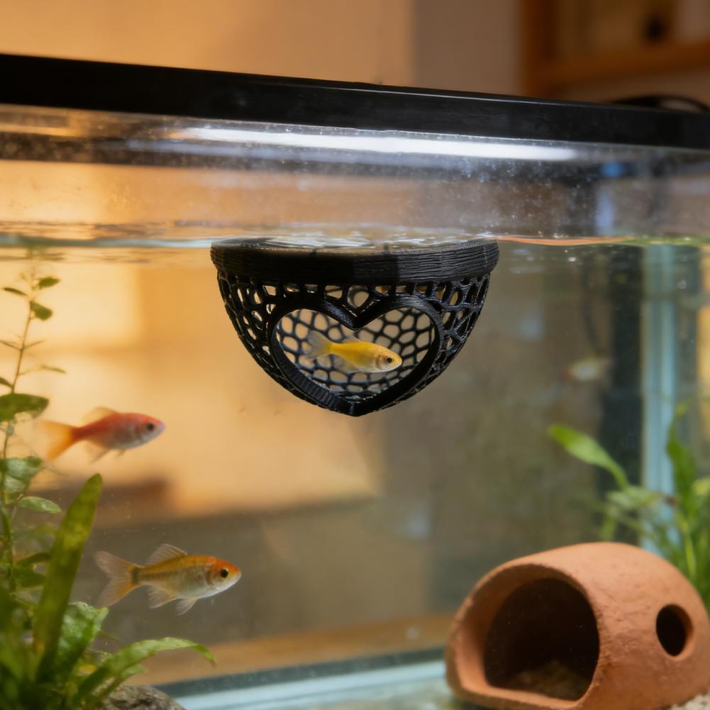 Heart-Shaped Aquarium Hideaway – обзор и цена Planted Aquarium Without Fish