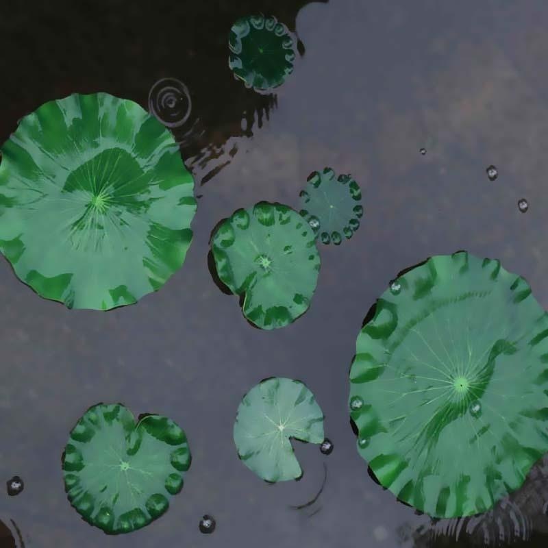 2026 Artificial Water Lily Lot – обзор и цена Aquarium Plants Book