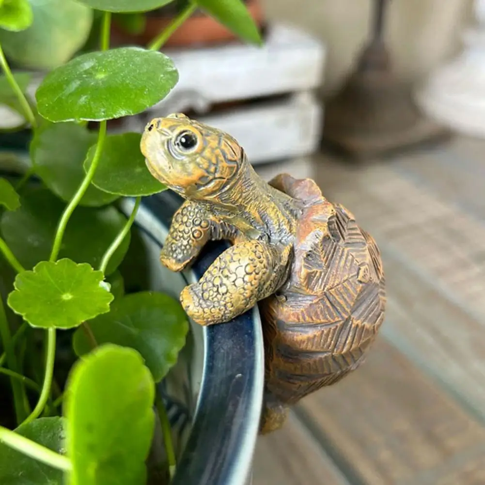 Fishing Turtle Hanging Turtle  – обзор и цена Aquarium Plants Book