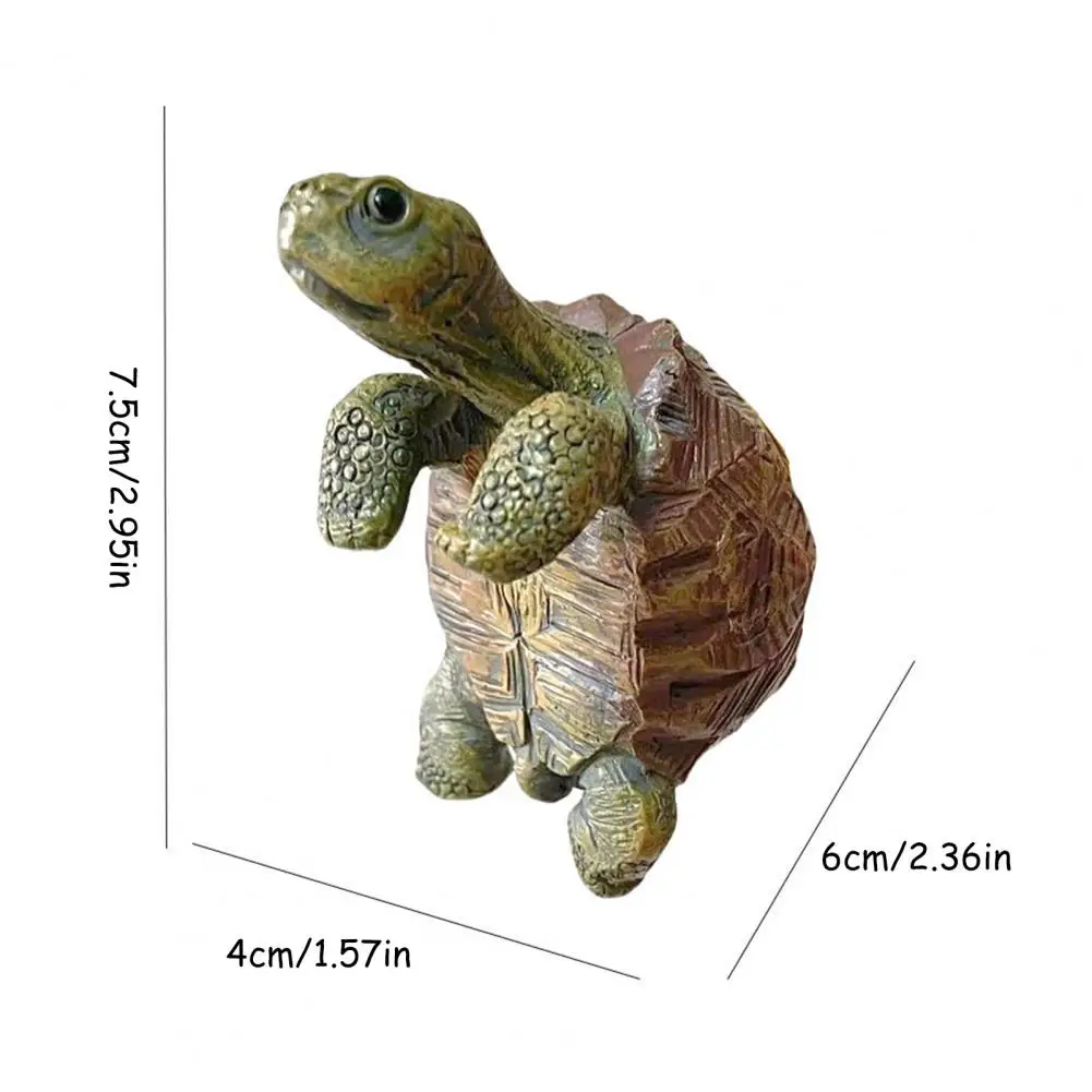 Fishing Turtle Hanging Turtle  – обзор и цена Aquarium Plants Book