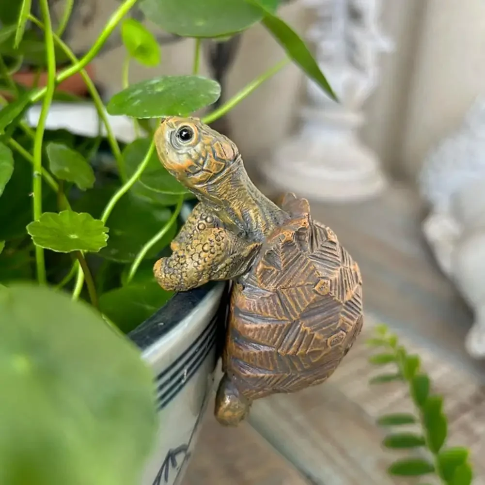 Fishing Turtle Hanging Turtle  – обзор и цена Aquarium Plants Book