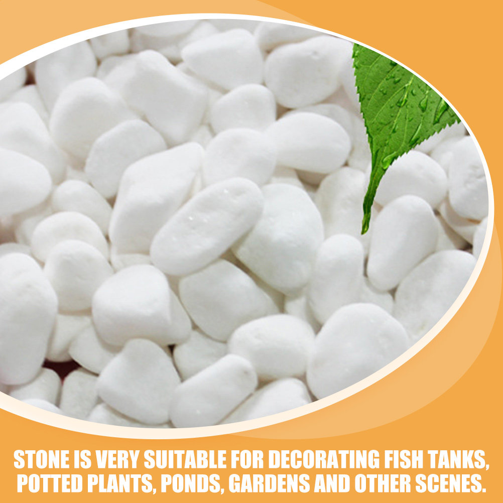 1Set White Decorative Stone El – обзор и цена Aquarium Plants Book