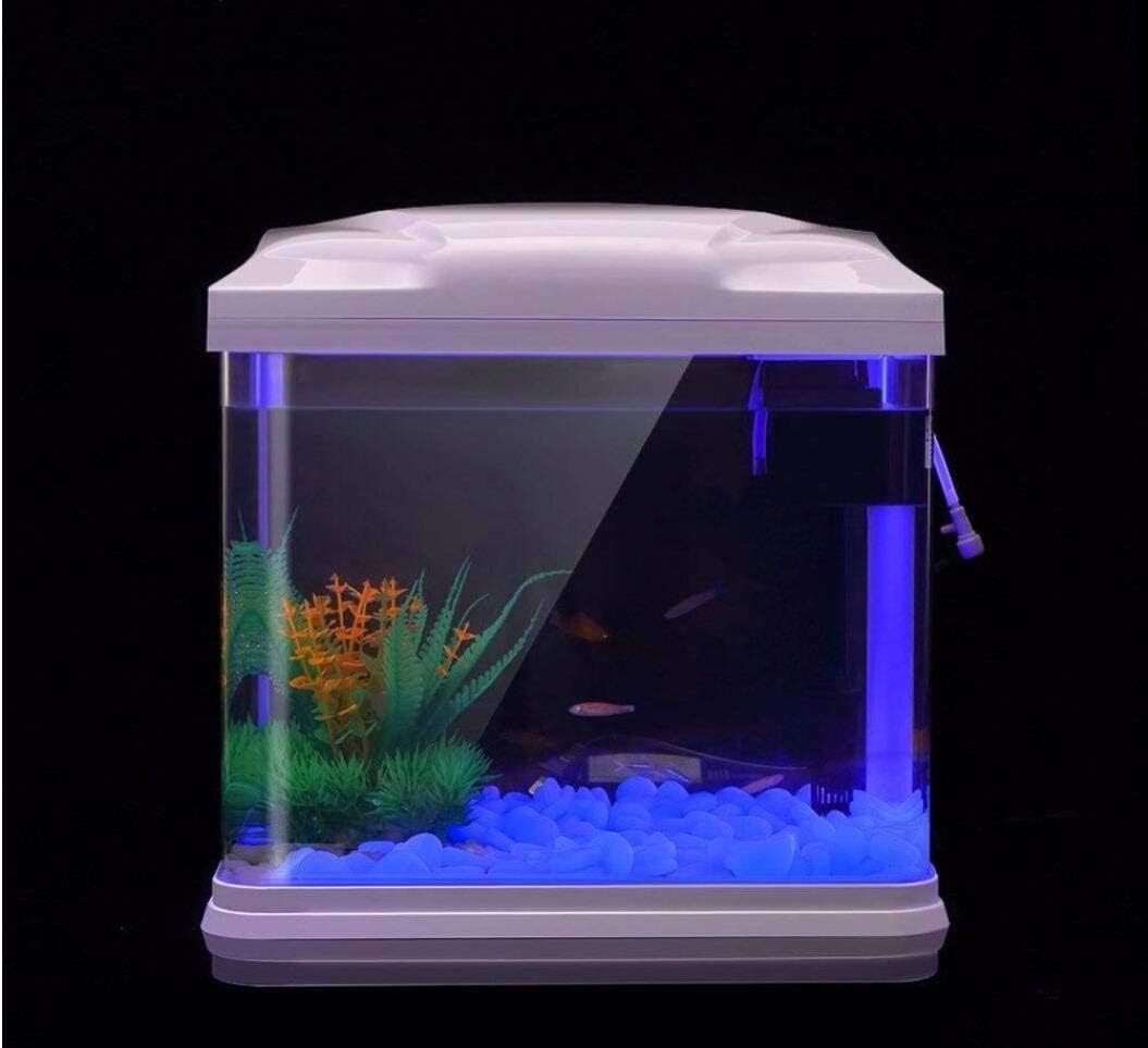 Fish Tank Rocks Glow Blue Pebb – обзор и цена Aquarium Plants Book