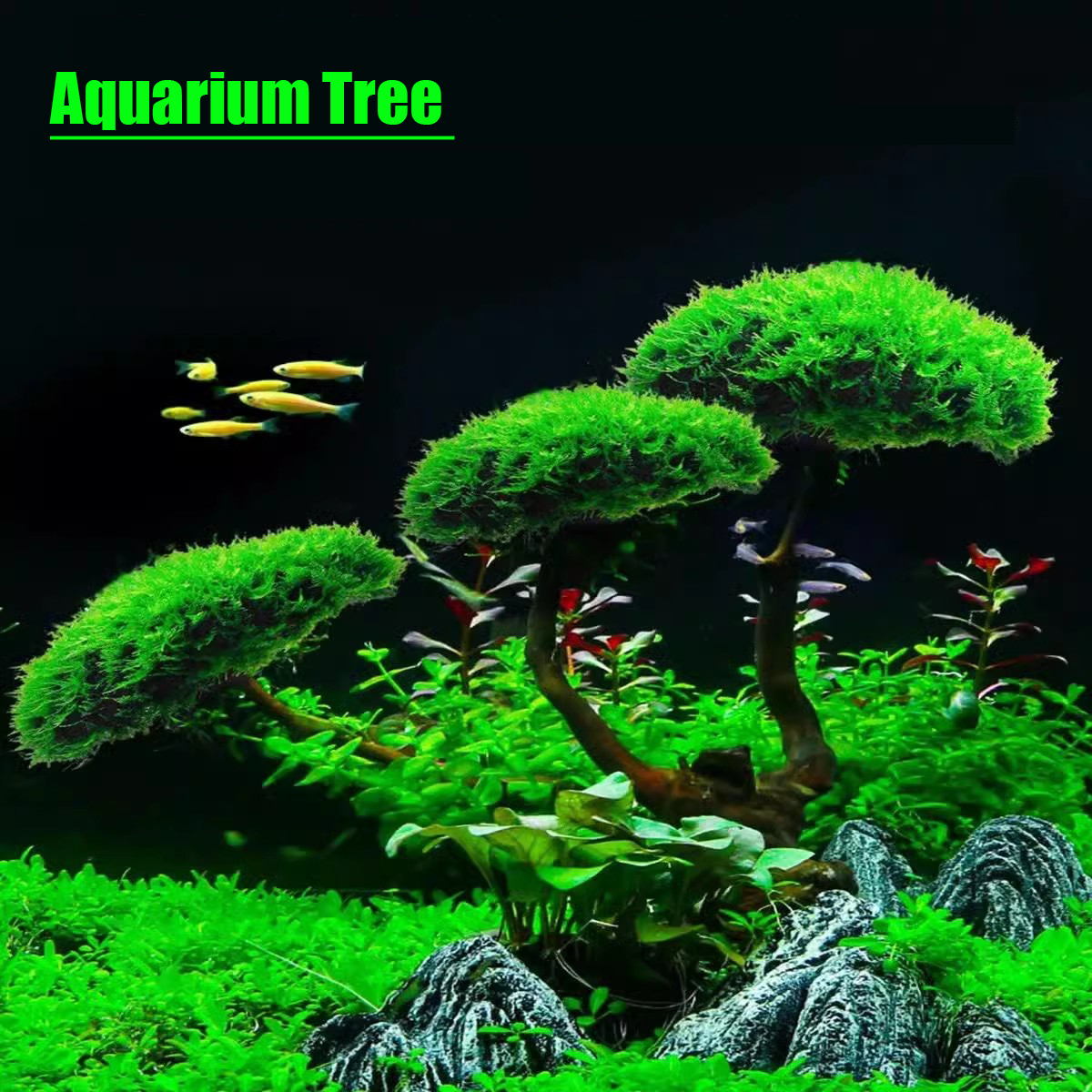 Aquarium Decoration Plant Moss – обзор и цена Planted Aquarium Without Fish