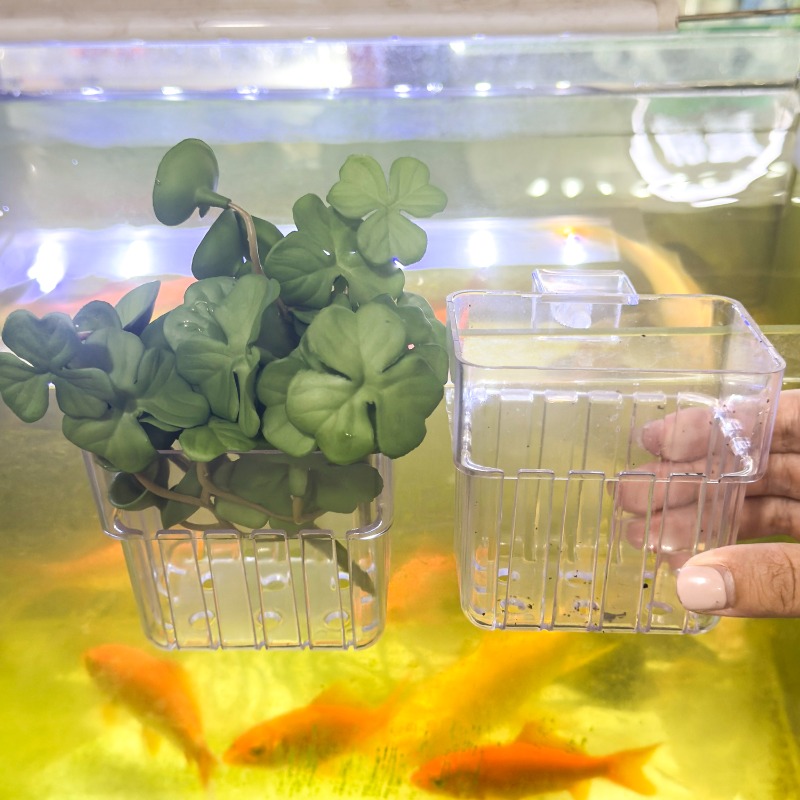 1/5pcs Aquarium Decoration Pla – обзор и цена Aquarium Plants Book