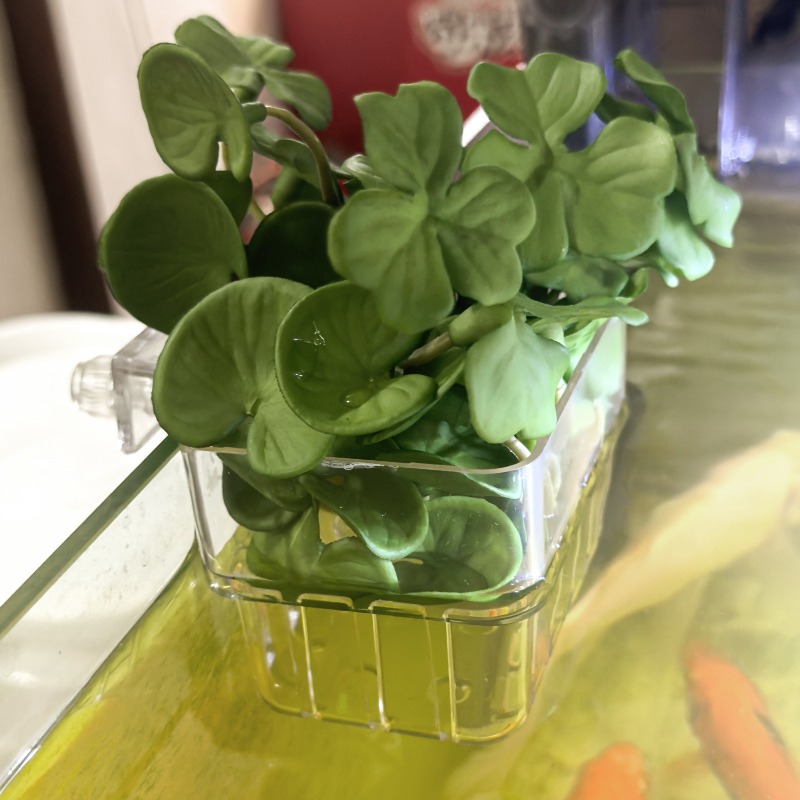 1/5pcs Aquarium Decoration Pla – обзор и цена Aquarium Plants Book