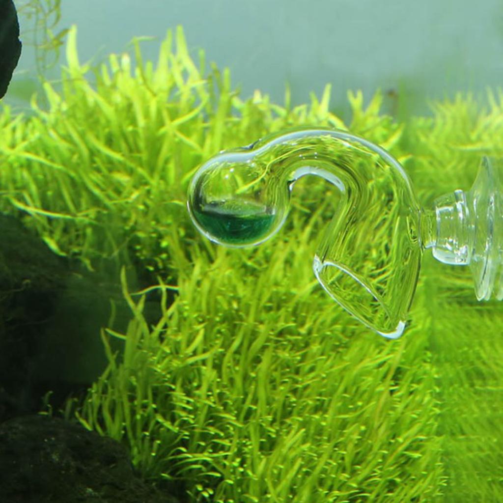 Aquarium CO2 Monitor Glass Dro – обзор и цена Glass Co2 Drop Checker