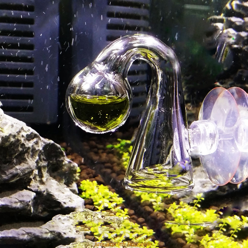 Fish Tank CO2 Diffuse Glass Dr – обзор и цена Aquarium Plants Book