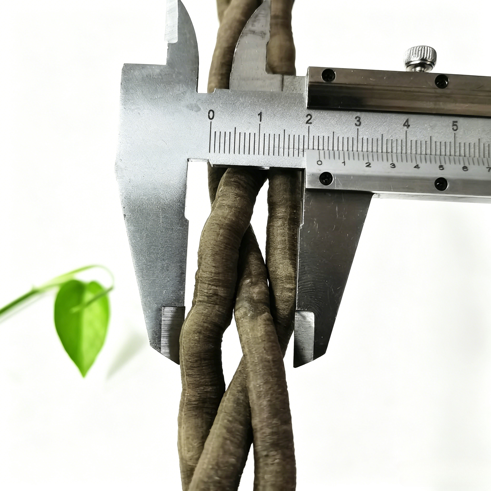 100cm Artificial Vine Plant Cl – обзор и цена Aquarium Plants Book